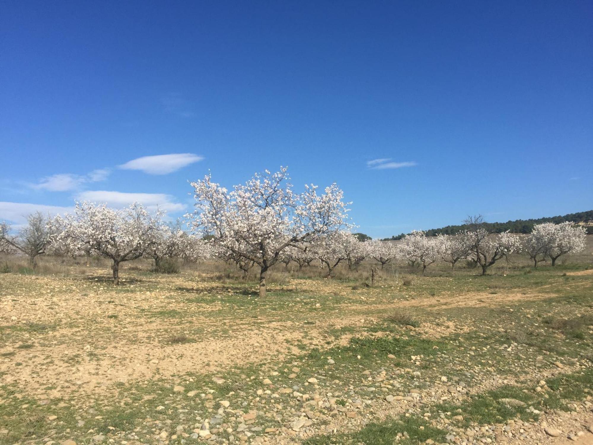 Apartamento Rural El Estrecho De Арґедас Екстер'єр фото